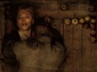 Nicole Kidman Forced in Truck Scene From Dogville